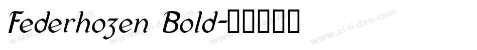 Federhozen Bold字体转换